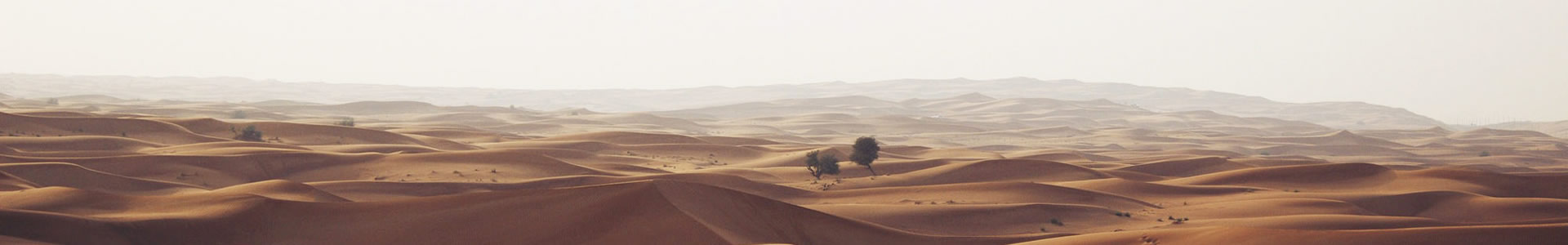 ɽ泩װβ޹˾